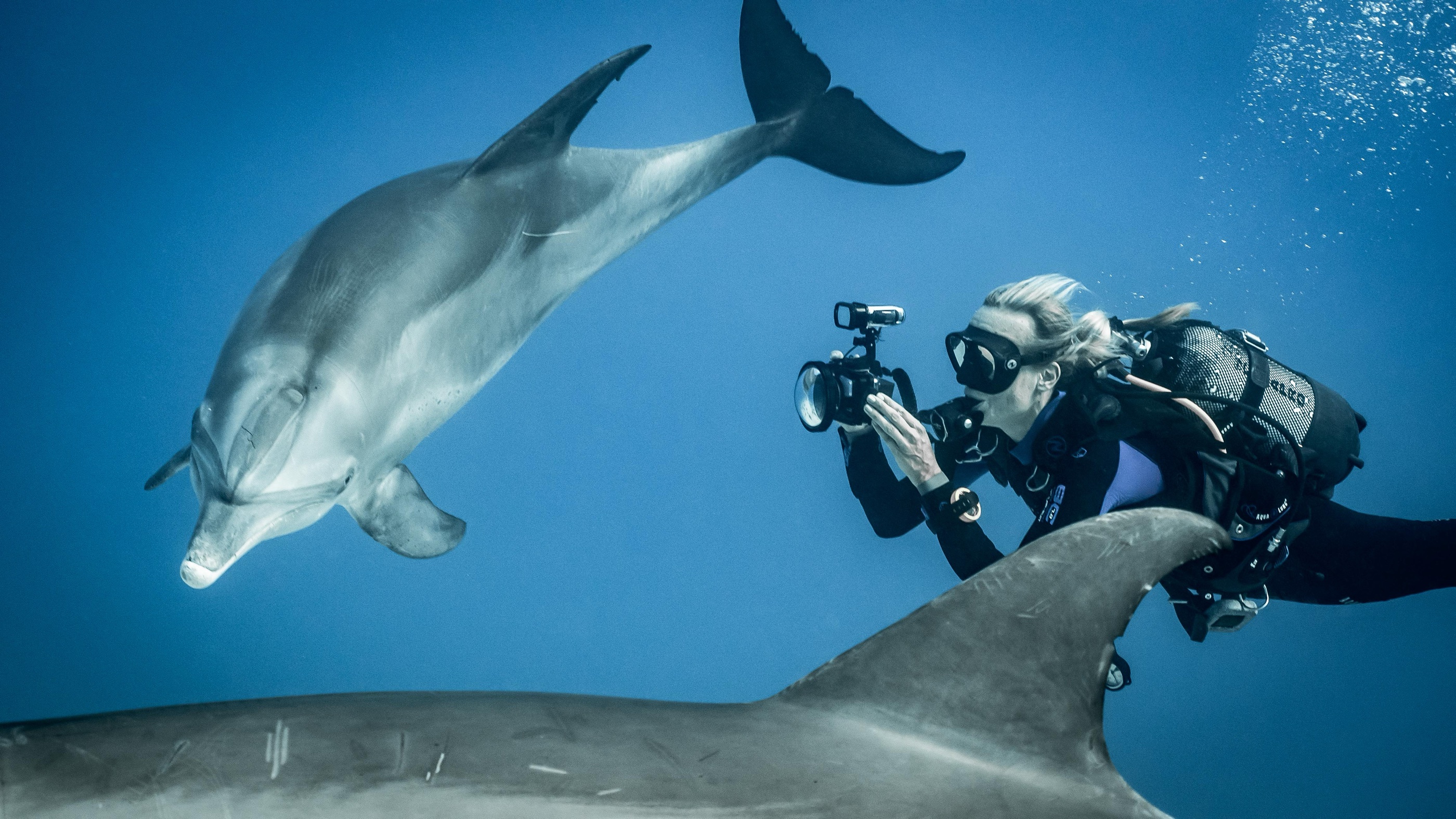Angela Ziltener documenting a dolphin group underwater