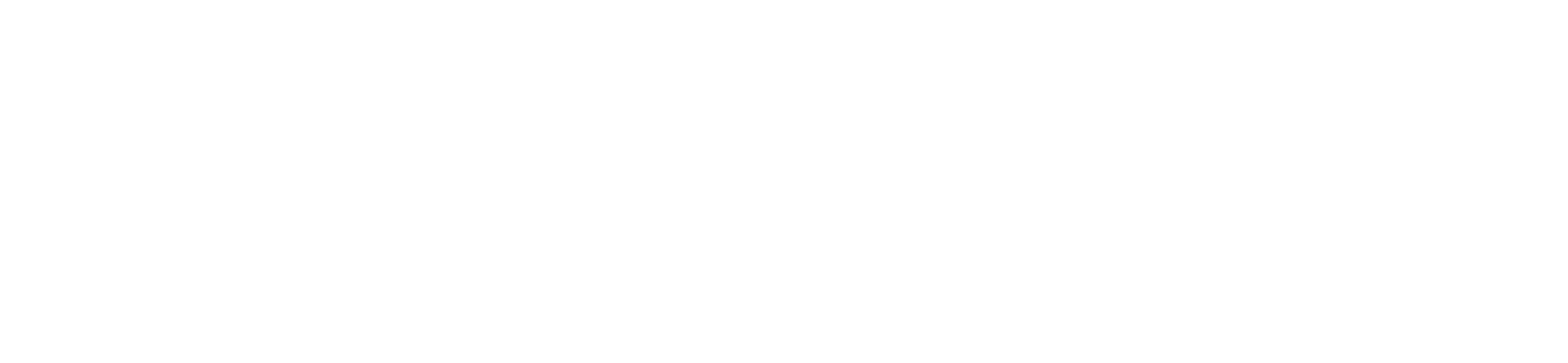 Dolphin Watch Alliance